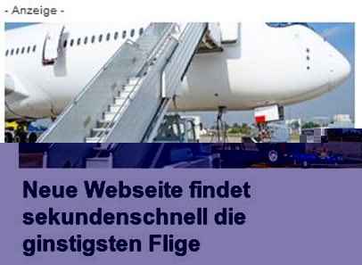 Ginstigsten Flige