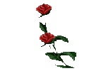 Rosen *