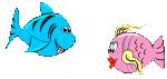 Fische verliebt *