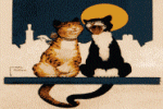 Katzen verliebt *