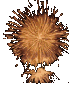 Feuerwerk 4 *